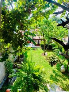 Casa Rústica - San Luis Tenextepec