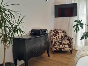 Hau Lodge Malalcahuello Corralco wifi starlink