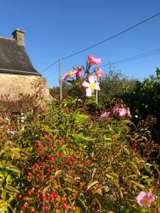 Maisons de vacances La Vigne, La Ville Josse : photos des chambres