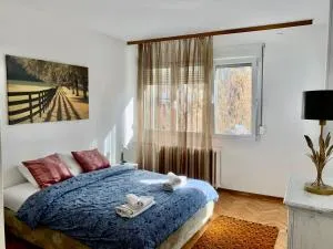 Star apartment - Beograd