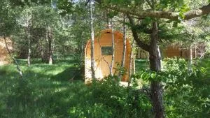 Glamping Pod im Wald mit Hund - Knill