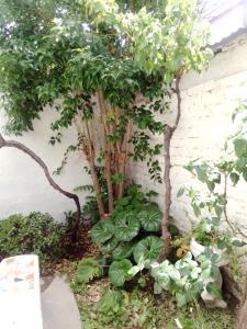 Casa cómoda, todos los servicios!!!!