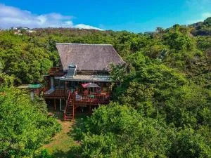 In The Green Backpackers - Haga-Haga