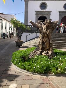 Viviendas vacacionales San Mateo