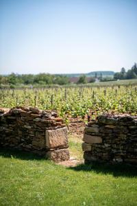 Maisons de vacances Casa Ladoit - maison d'architecte vue sur vignes : photos des chambres