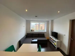 1+1 Modern flat next to Sutton train station - 萨顿