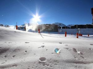 Bel appartement en rez-de-chaussée avec accès direct aux pistes à Plagne Soleil - FR-1-455-46