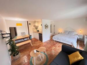 Appartements Studio a 20 min des cures thermales de La Roche Posay - Casino : photos des chambres