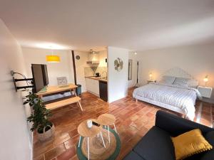 Appartements Studio a 20 min des cures thermales de La Roche Posay - Casino : photos des chambres