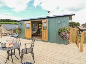 Ivy's Way - Saint Harmon