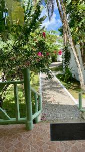 La Cotica Casa Verde o Casa Azul