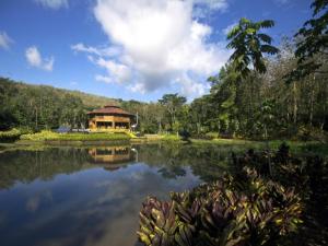 Macaw Eco-Lodge, Carara