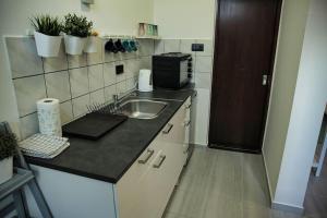 Studio apartman Gajba in city center