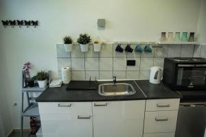 Studio apartman Gajba in city center