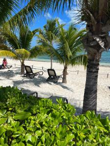 Beachfront Loft Amara Cancun
