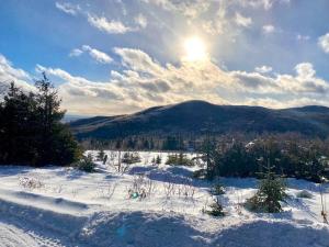 Chalet «LAutrichien» de Charlevoix