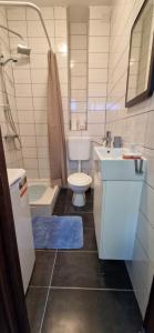 Studio apartman Gajba in city center