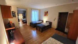 Apartament ANGELO - Slezské Pavlovice