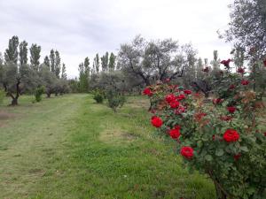 Casa de campo Las olivas
