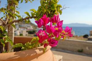 Pantonia Apartments Kythira Greece