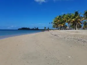 Cocobeach Cabin no pets allowed - Blasina