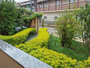 Cantinho da Vovó Elza