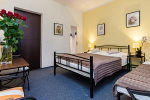 3 star pension Lovas & Lovas Poděbrady Czech Republic