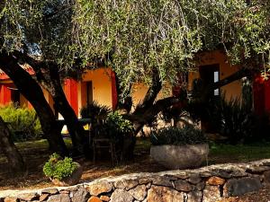 Agriturismo Conca' e Janas img43