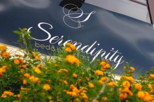 Serendipity B&B