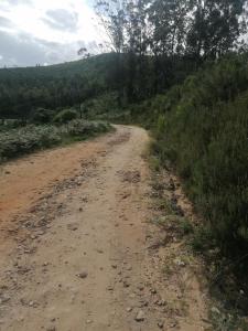 Knysna Tranquil 3 Bedroom Cabin