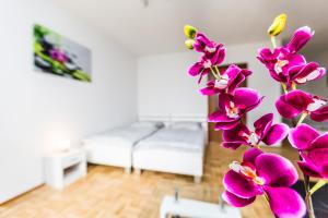 Work & Stay Apartment Monheim