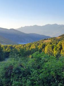 Campings Village de chalets et camping La Pierre de l'Aigle : photos des chambres