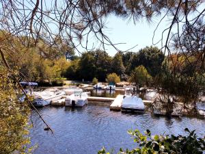 Campings Charmant mobilhome n°300, 3ch proche du lac : photos des chambres