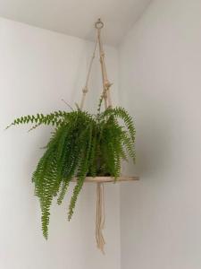 Au 154 Bis - Joli Appartement avec Grande Terrasse et proche de la plage à Malo