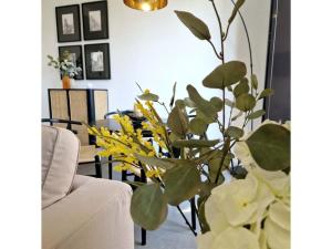 Dúplex de diseño Jaén Centro-Catedral