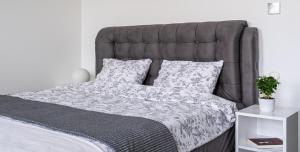 Library House "Bibliotekas nams" - Apartment with Park View