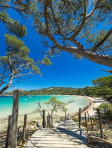 Appartements Logement La Belle Provence : Appartement 1 Chambre