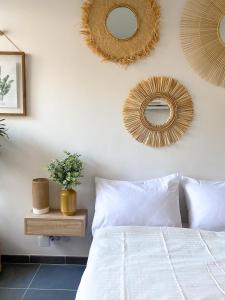 Studio 24m² Montpellier - Hôpitaux facultés Centre