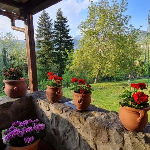 Villa Casa di Pietra en el norte de Lucca, Toscana