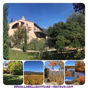 Appartements La belle histoire gite Luberon : photos des chambres