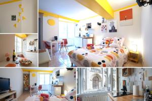 SUPERLOGIS BLOIS-LE PITAYA- HYPERCENTRE STUDIO- Classé 3Etoiles