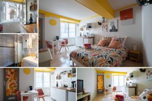 Appartements SUPERLOGIS BLOIS-HYPERCENTRE LE PITAYA-STUDIO☆☆☆ : photos des chambres