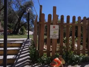 Cà Di Toni - Canepa