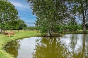 Maisons de vacances Magnifique Gite - 4 chambres - avec piscine et petit plan d'eau : photos des chambres