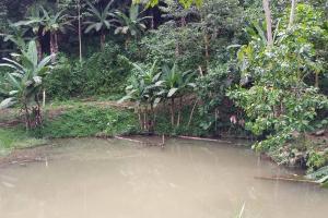 Jardin Botanico Bellavista