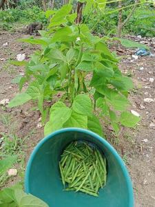 Jardin Botanico Bellavista