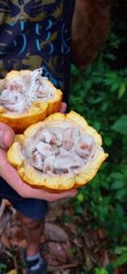 Jardin Botanico Bellavista