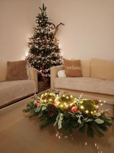 Akkerland - incl infra-red sauna - excl option hot swimspa from Spring-Halloween -1 bedroom 1-3 pers - 2 bedrooms 4-6 pers