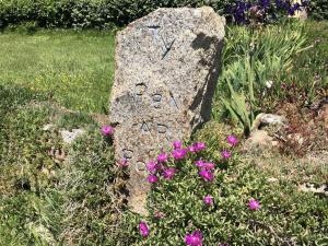 Maison de pêcheur avec jardin clos, animaux acceptés, parking privé - FR-1-542-40