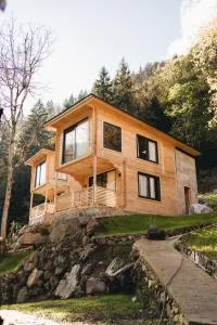 Berona Dağ Evleri - Aslan